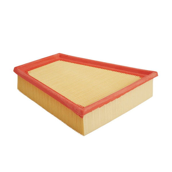 Air Filter BSG 90-135-043 (6Y0129620) 