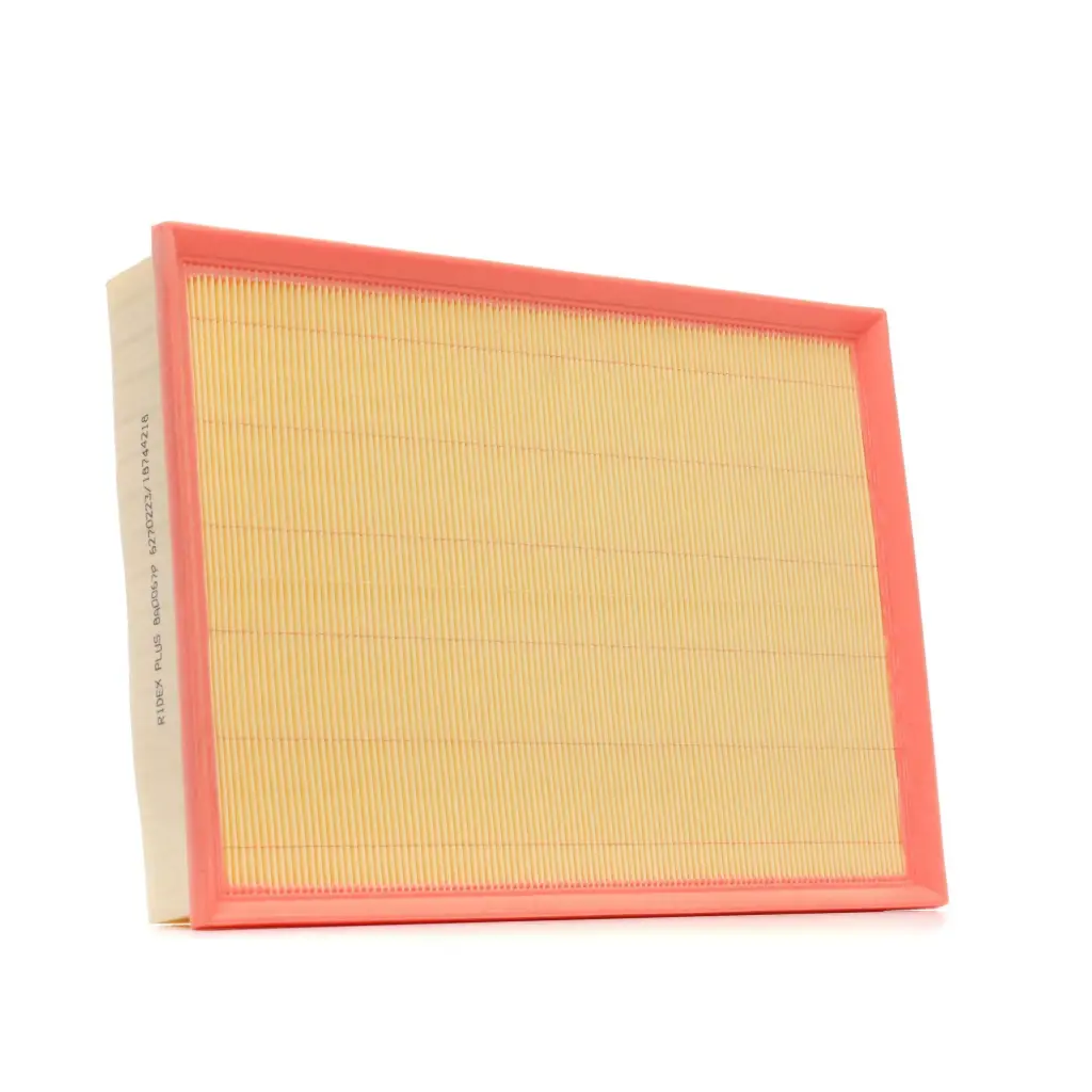 Air Filter (BSG 60 135 028) 