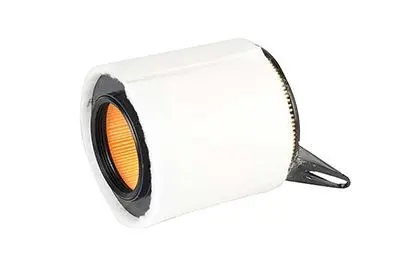 Air Filter (BSG 15 135 010) 