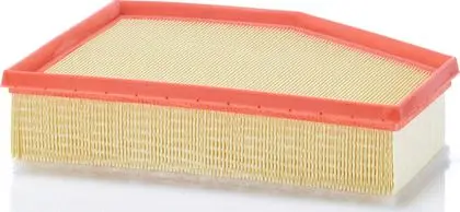 Air Filter (BSG 15 135 037) 