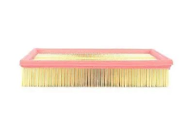 Air Filter (BSG 15 135 002) 