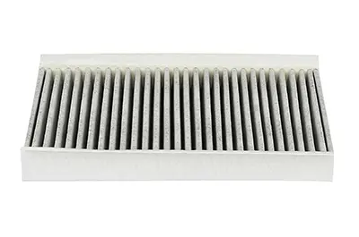 AC Filter (BSG 15 145 001) 