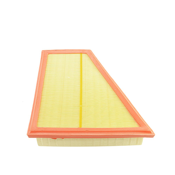 Air Filter (BSG 15 135 019) 