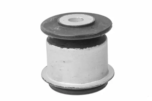 [1663330200] Bush (1663330200) 