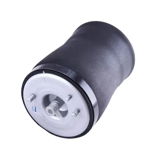 [37121095579] Air Spring (37121095579) 